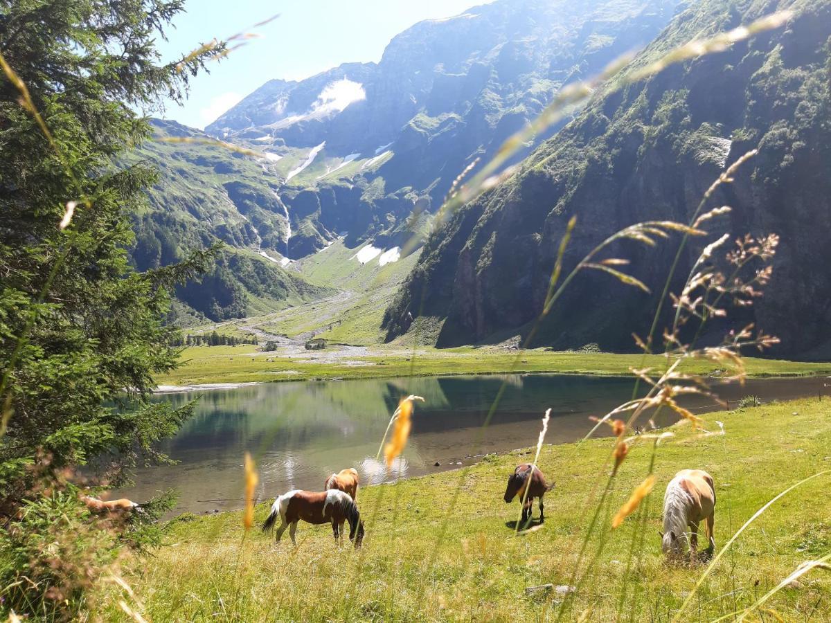 Alphotel Mittersill # Inklusive Sommercard # Dış mekan fotoğraf