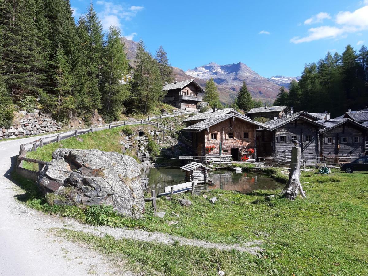 Alphotel Mittersill # Inklusive Sommercard # Dış mekan fotoğraf
